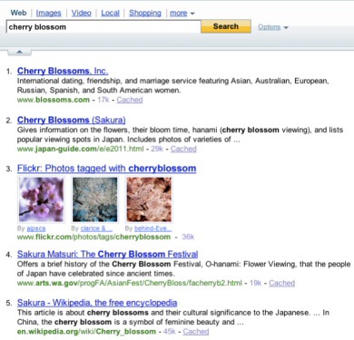 Yahoo Search Flickr Images