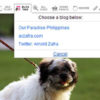 Flickr Rolls Out Twitter Integration Feature