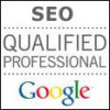 Google Gets Into The SEO Consulting Business