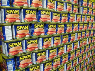 Splogging spammer