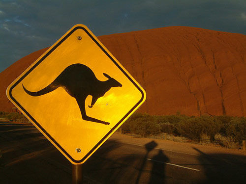 kangaroo_crossing