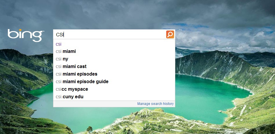 Microsoft Bing Adaptive Search: Is Bing Adapting to the Competitive Landscape?