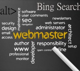 Bing Webmaster Guidelines and the Import of Script