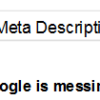 Google Meta Description Usage Clarified?