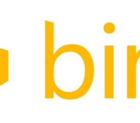 Bing Takes A Stance Against Poor Spelling and Grammar, Saying It Will Hurt Rankings
