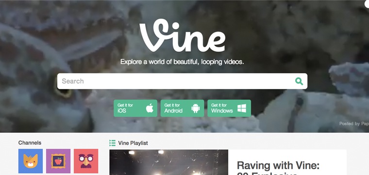 Vine Launches New Version Of Website, New Features Include Vine TV, Playlists And More