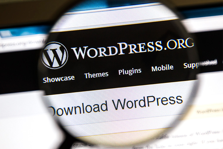 Look into Plug-ins in WordPress That Have Gone Rogue
