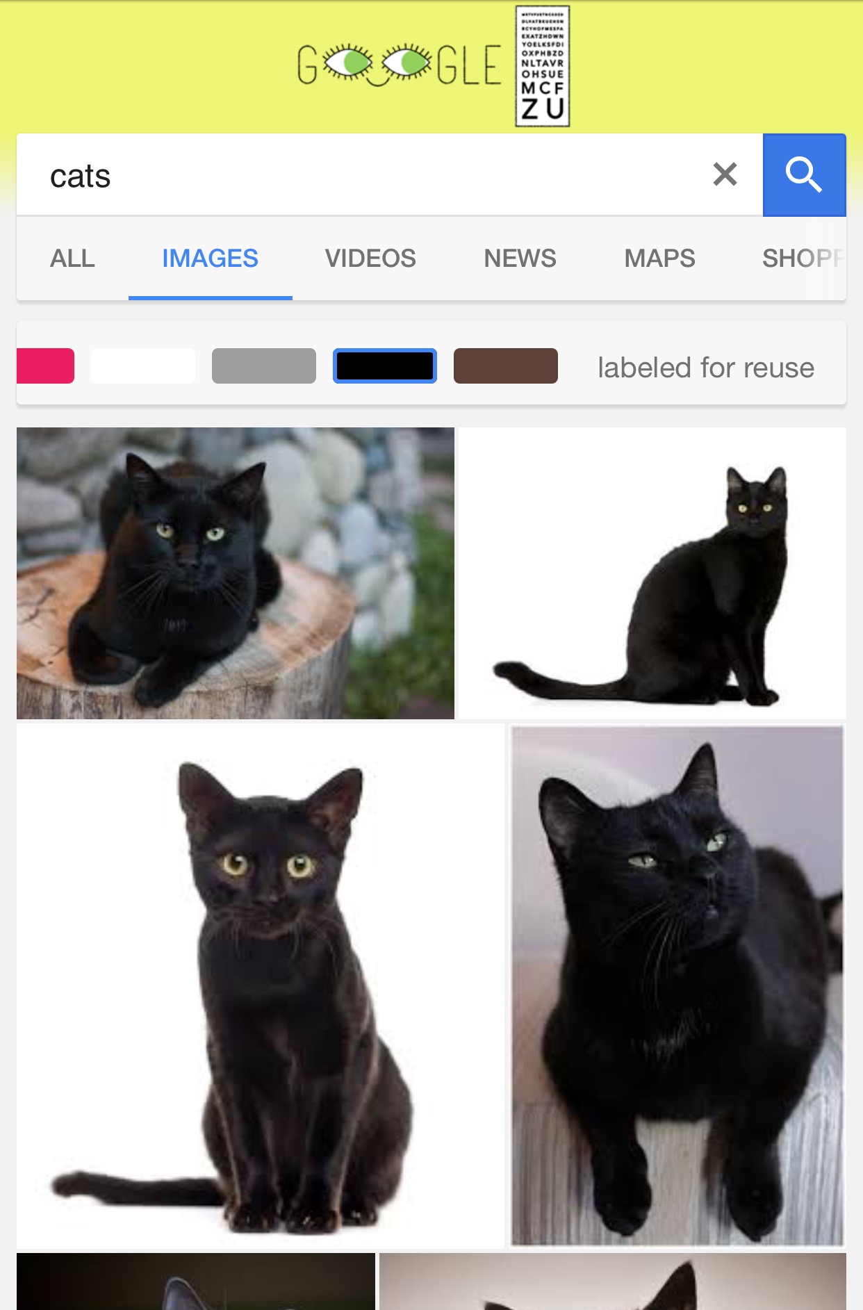 New Filters Added to Google Image Search