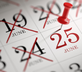 The June 25 Google Update: What You Should Do Now