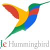 How the Google Hummingbird Update Changed Search