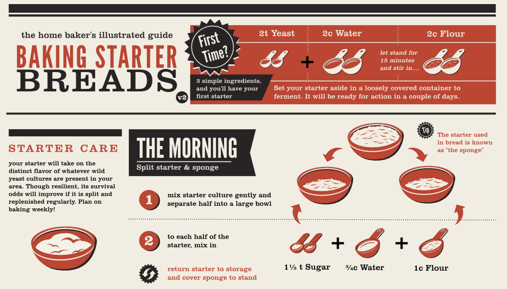 Baking Starter Breads Infographic