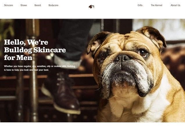 25 Awesome Examples of About Us Pages