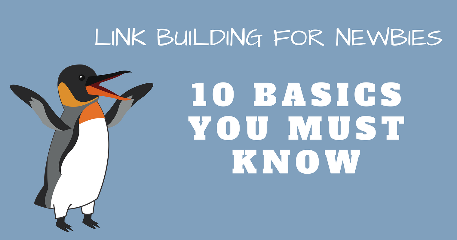 Link Building for Newbies: 10 Basics You Must Know