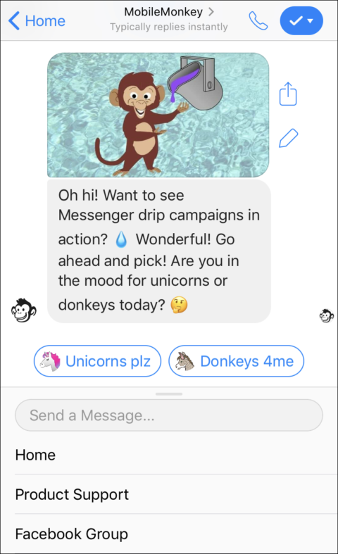 chatbot-drip-campaign-example