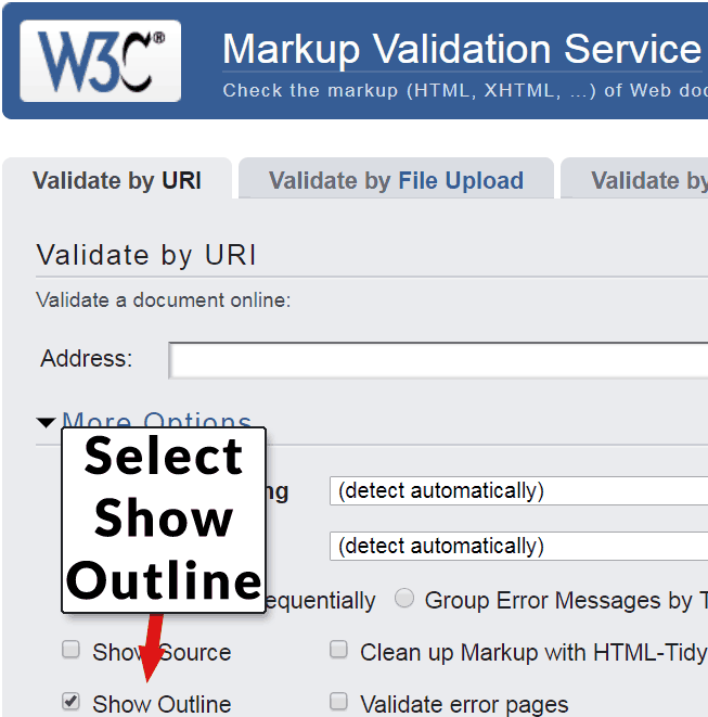 Screenshot of the W3C HTML Validator showing various options