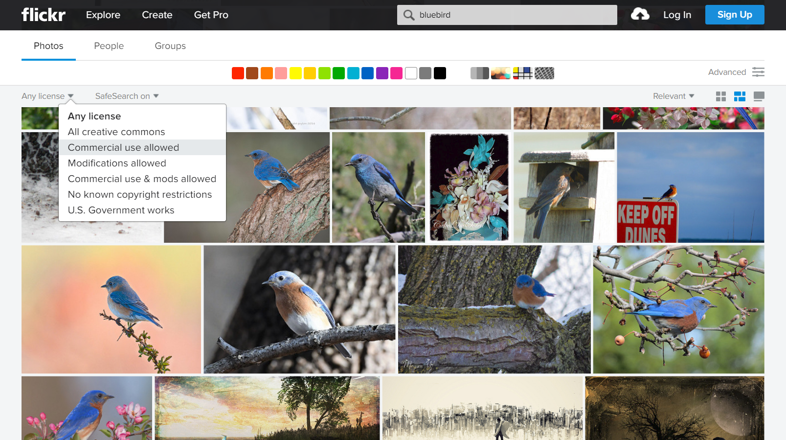 The 10 Best Image Search Engines