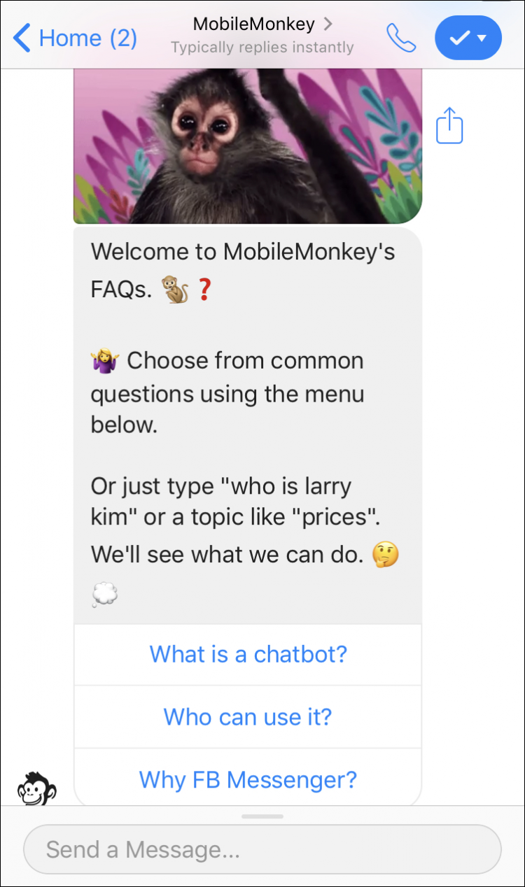 Esempio chatbot