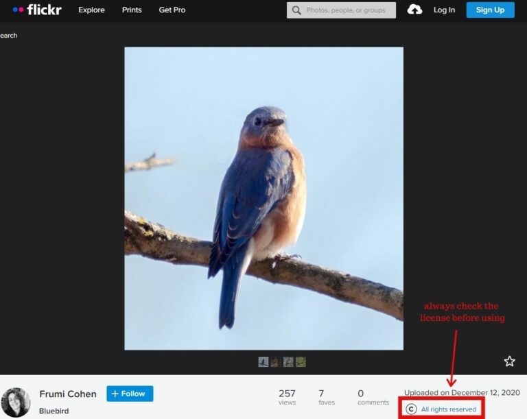 The 11 Best Image Search Engines