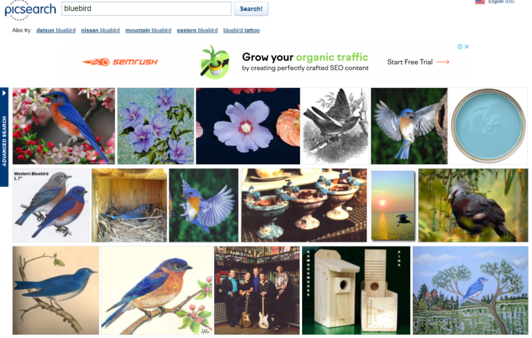 The 11 Best Image Search Engines
