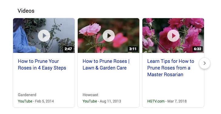 roses SERPs