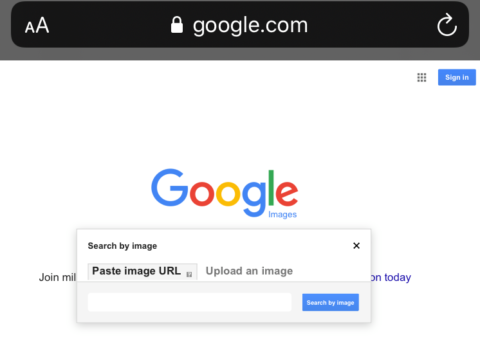 How to Do Reverse Image Search on Google, Bing, Yandex &#038; Tineye
