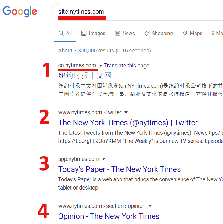 A Google site search of the NYTimes