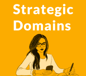 Strategic Domain Name Registrations