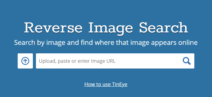 TinEye reverse image search