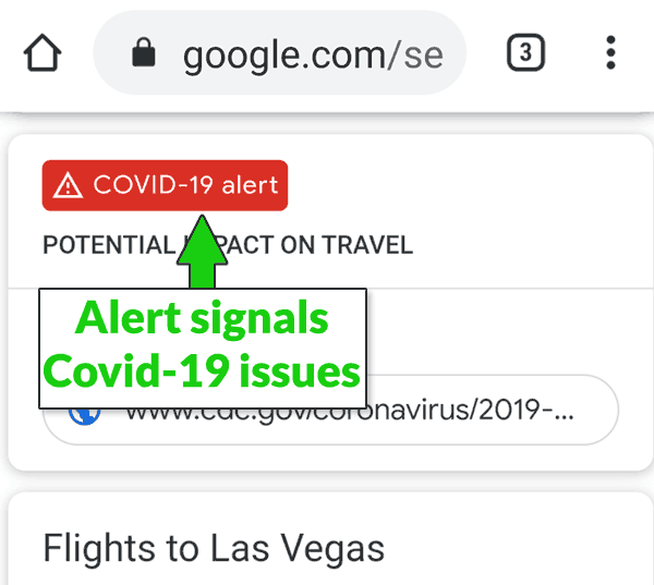 Google Covid-19 警告的屏幕截图
