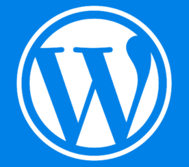WordPress 5.5 – Easy Overview