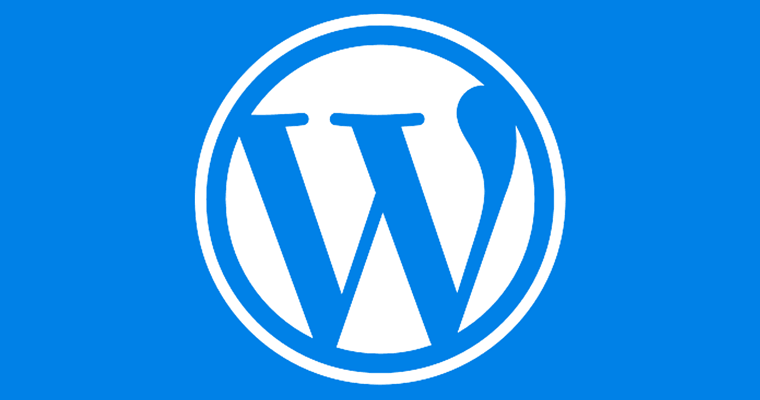 WordPress 5.5 – Easy Overview