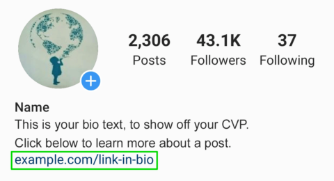 Chèn liên kết trang chủ ở profile của bạn ở Instagram