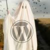 WordPress 5.6 Due December 2020 is Scaled Back