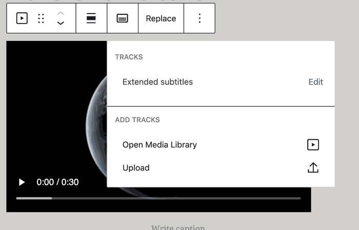 Screenshot of video media options screen