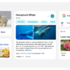 Google Redesigns Mobile Search Results