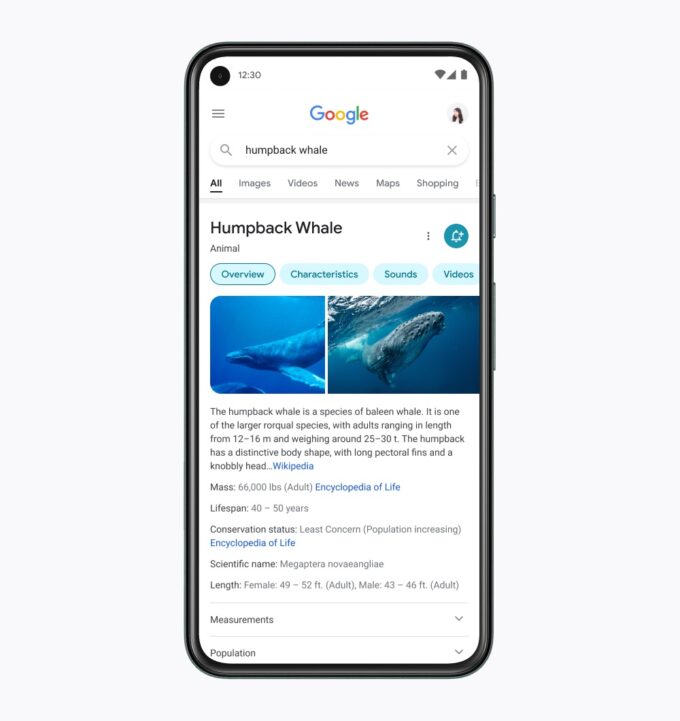 Google Redesigns Mobile Search Results