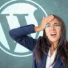 WordPress All in One SEO Auto Updates Cause Backlash