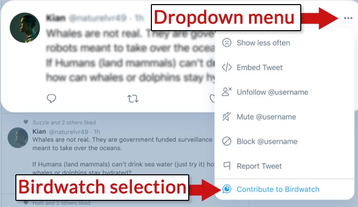 Screenshot of an example of a Twitter Birdwatch process