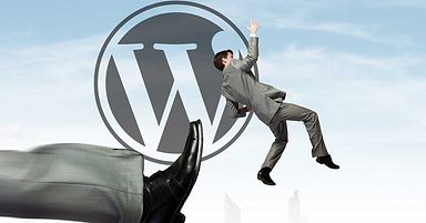 WordPress Boots Pirated Themes and Plugins