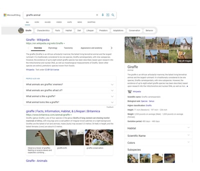 Microsoft Bing tung ra 5 bản nâng cấp cho kết quả tìm kiếm