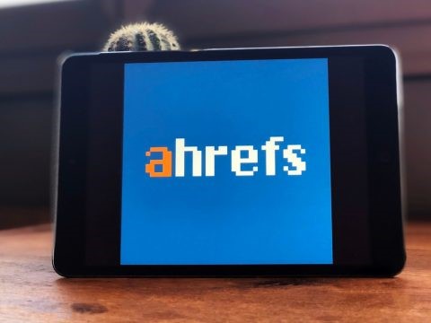 Ahrefs domain evaluation