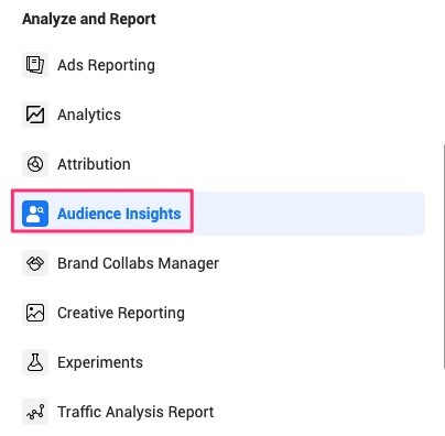 How to access Audience Insights.