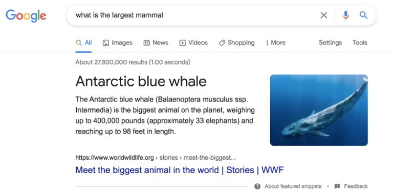 Semantic Search: What It Is &#038; Why It Matters for SEO Today