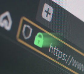 What Type of SSL Certificate Does Your Website Need?