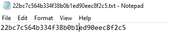 Kunci API IndexNow dalam File TXT