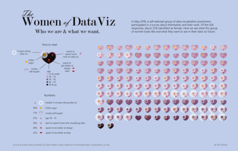the women of data wiz