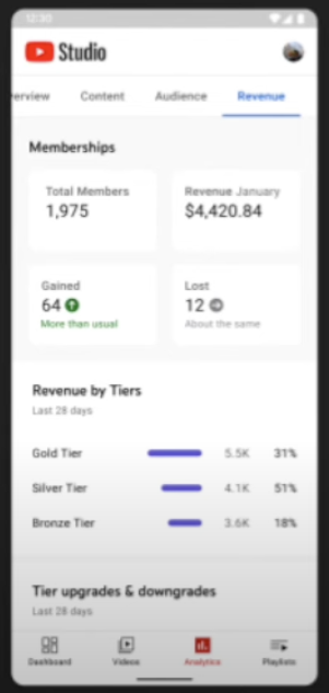 YouTube Adding More Analytics Data About Views & Revenue