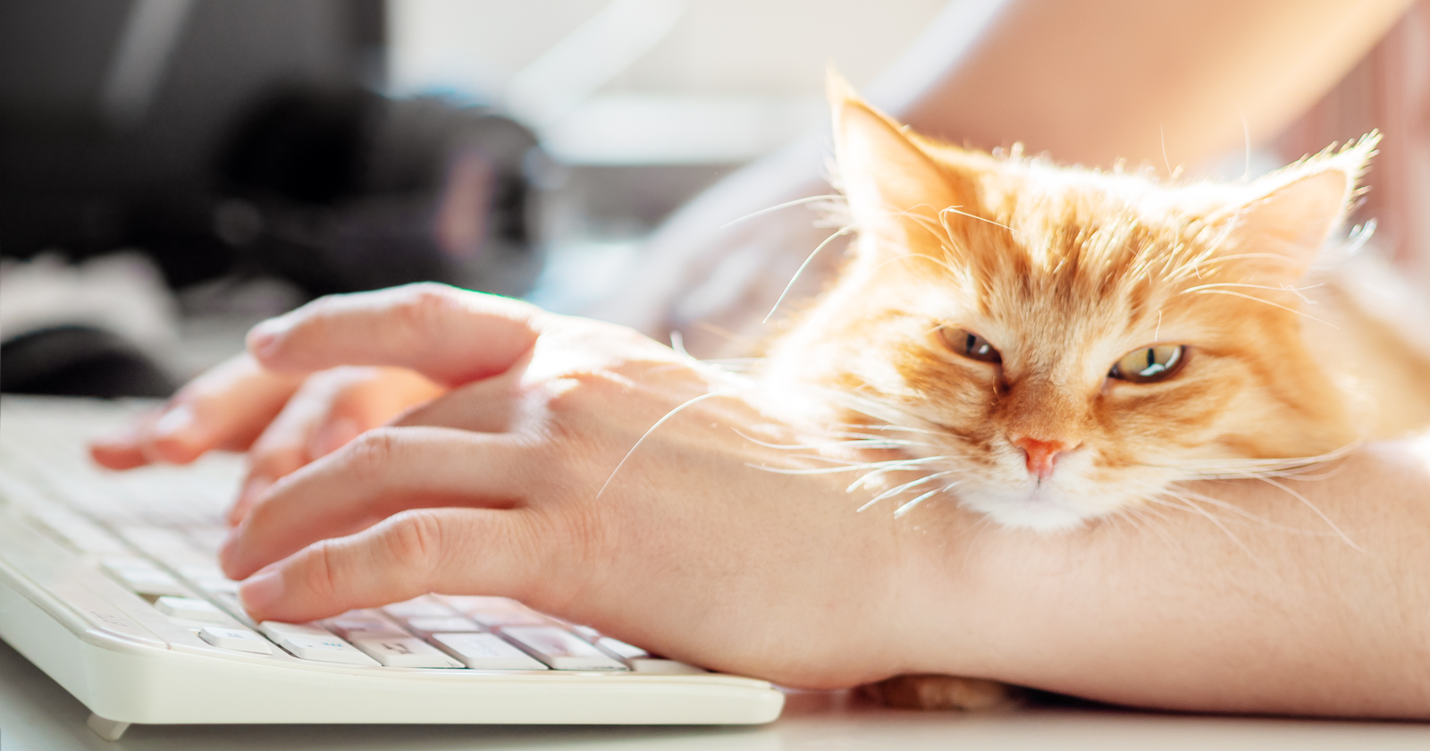 National Pet Day: How Our Fur-Babies Are Changing The Way We Work via @sejournal, @Juxtacognition
