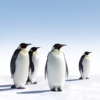 A Complete Guide To the Google Penguin Algorithm Update