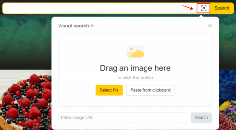 pencarian yandex berdasarkan gambar